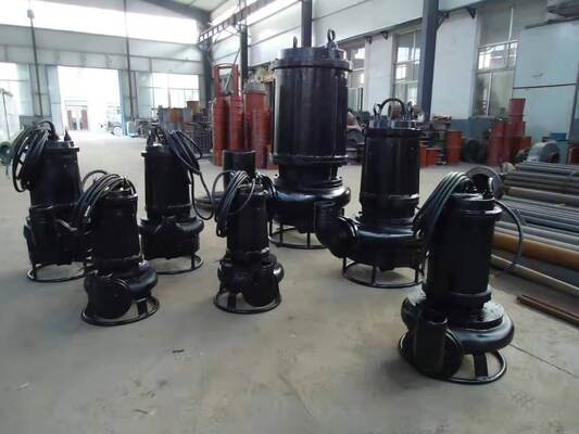 Duck Farm Slurry Submersible Pump SS304 With Head Up To 80 Meters Offering Performance in Demanding Slurry Applications