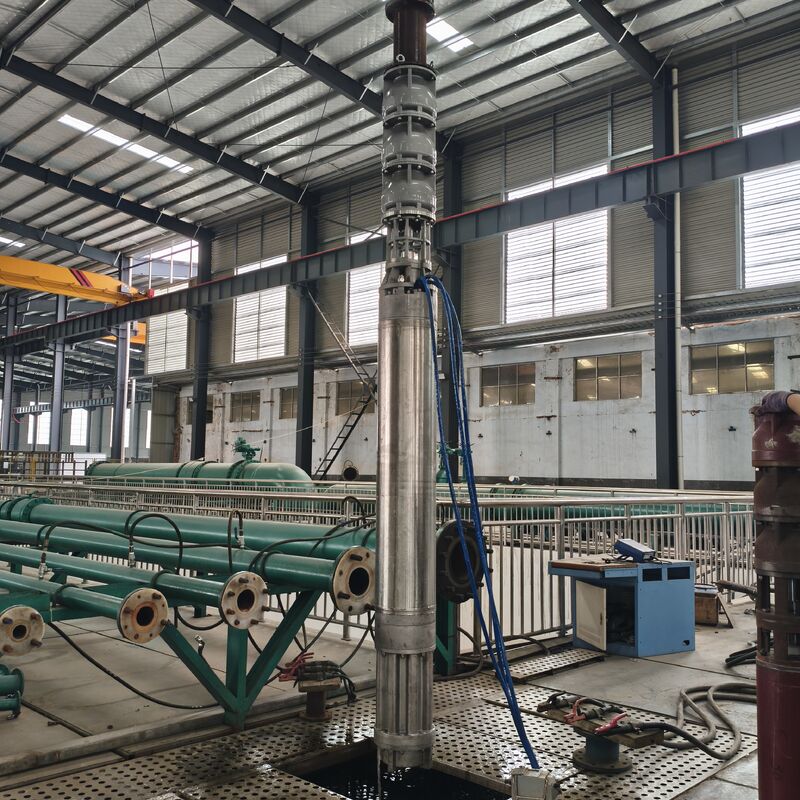 300QJH400-80/2-150KW από ανοξείδωτο χάλυβα Βαθιά βυθισμένη αντλία ανθεκτική στη διάβρωση λύση παροχής νερού για υπεράκτιες πλατφόρμες