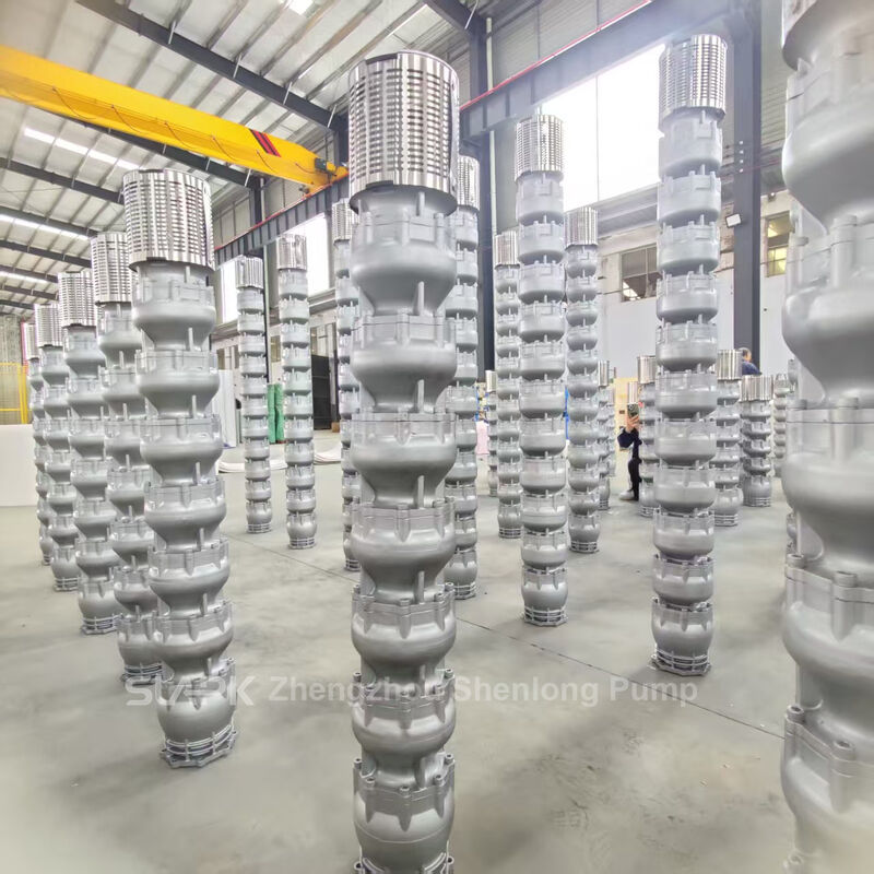 300QJH-300-62-75KW Πυροβόλη αντλία από ανοξείδωτο χάλυβα με ροή 300 m3/h και κεφαλή 62m για ανθεκτική στη διάβρωση μεταφορά βιομηχανικού νερού