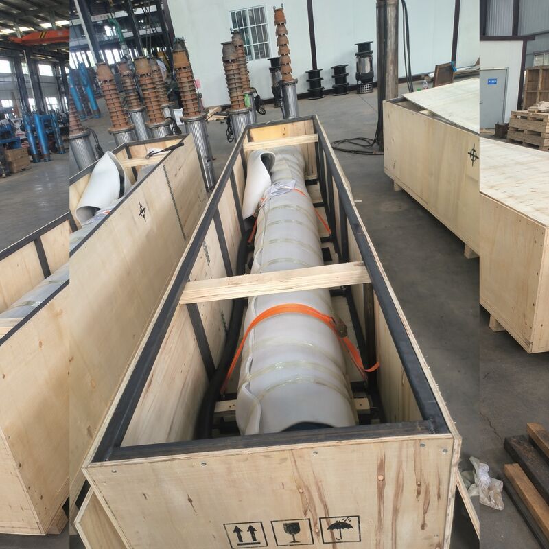 300KW Υποβρύχια Αντλία Νερού Υψηλής Τάσης για Άντληση Βωξίτη με Ανοξείδωτους Πτερωτούς Τροχούς
