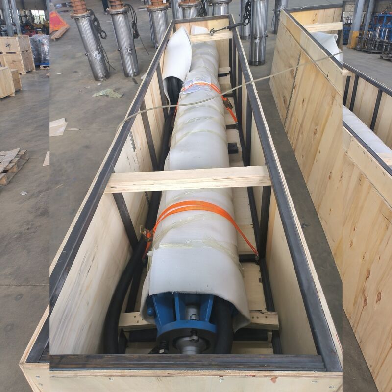 300KW Υποβρύχια Αντλία Νερού Υψηλής Τάσης για Άντληση Βωξίτη με Ανοξείδωτους Πτερωτούς Τροχούς