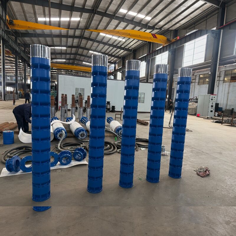 300KW Υποβρύχια Αντλία Νερού Υψηλής Τάσης για Άντληση Βωξίτη με Ανοξείδωτους Πτερωτούς Τροχούς