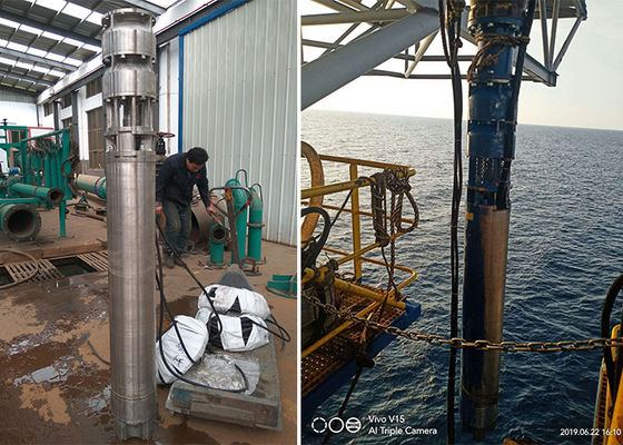 Υδροφόρα αντλία θαλάσσιου νερού 75kw 100hp SS316L υλικό 60m κεφαλή